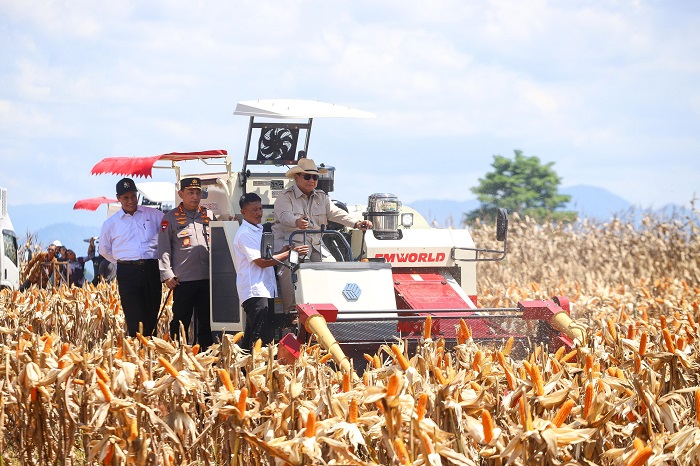 MENTERI Pertanian (Mentan) Andi Amran Sulaiman menegaskan produksi jagung nasional sepanjang semester pertama 2025 surplus. (Dok. Kementan)